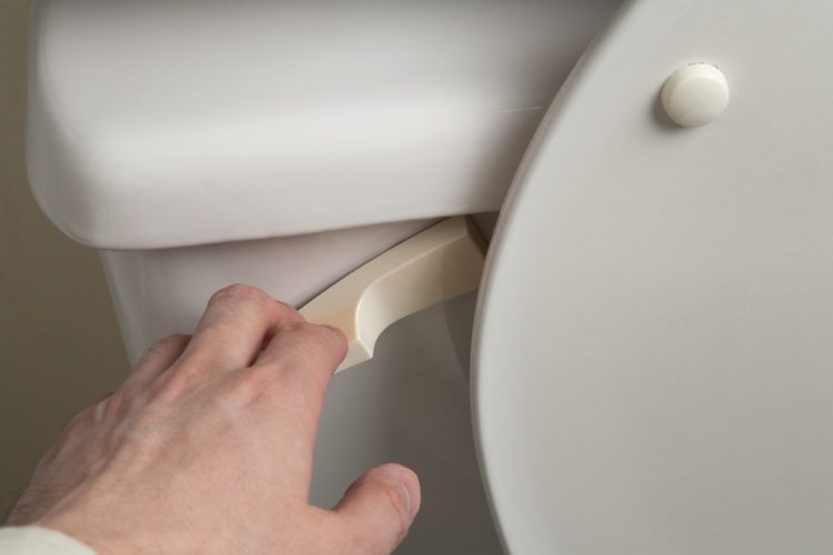 Hand flushing toilet.