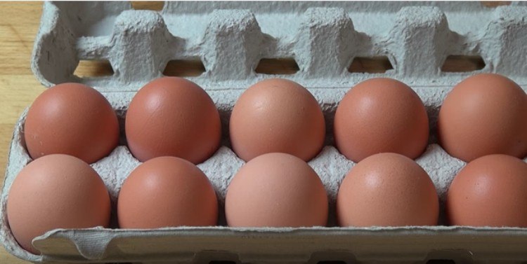 carton of eggs