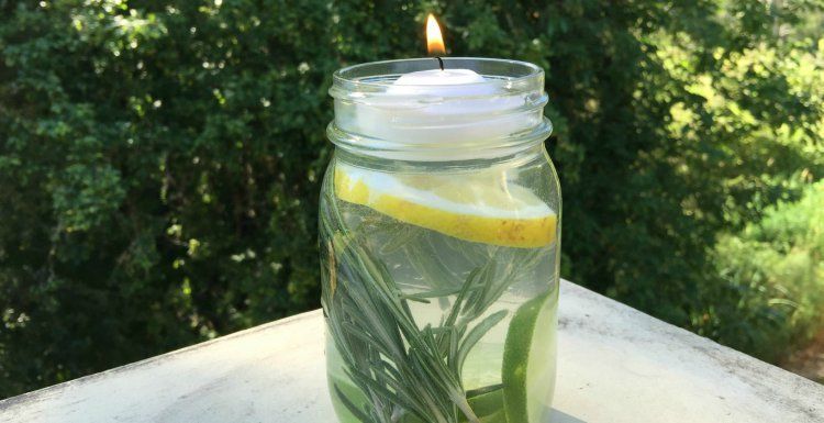 mason_mosquito_jar_horizontal_crop