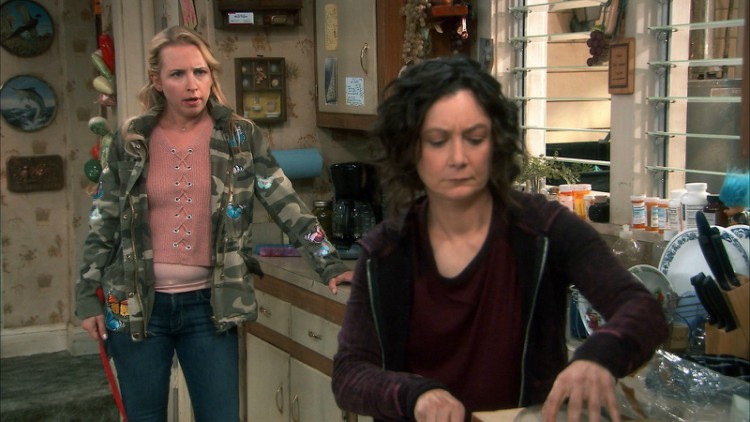 Roseanne 7