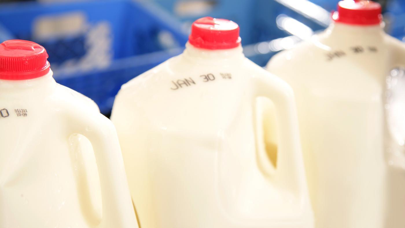 milk