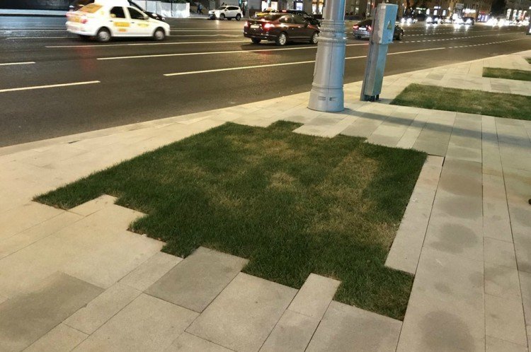 fail grass sidewalk