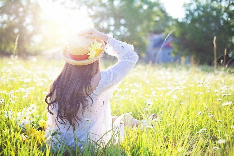 sunshine field