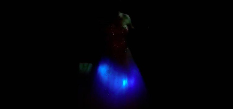 light up dress