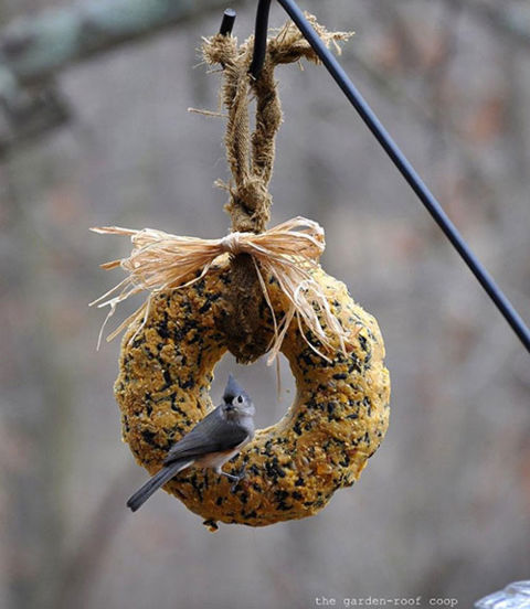 Bird Feeder Bundt