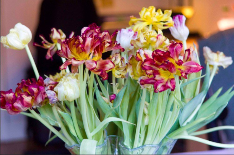 flowers