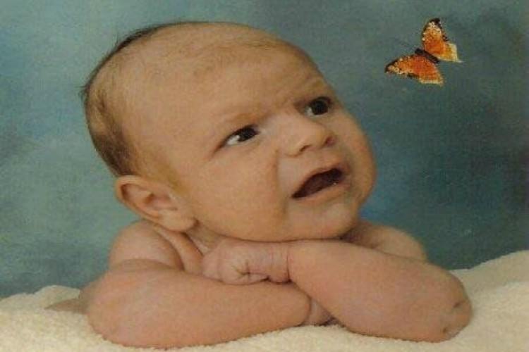 newborn butterfly