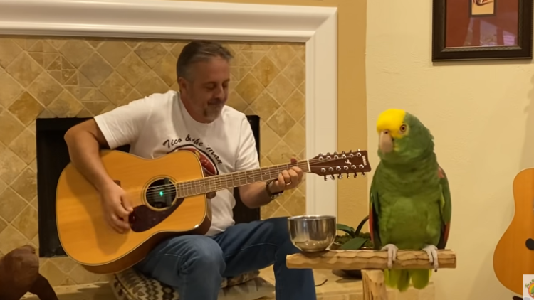 After Man Starts Strumming A Few Chords On His Guitar, 18-Year-Old ...