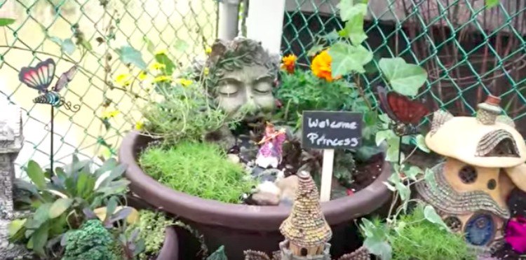 fairy garden