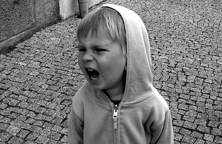 yelling little boy