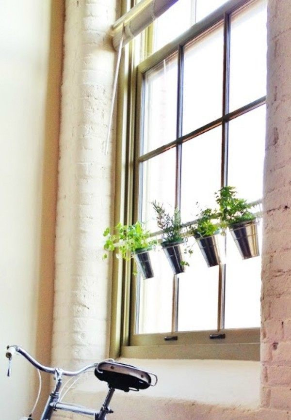 Hanging Garden Edited