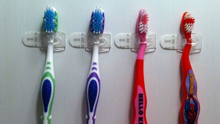 MountedToothbrushes