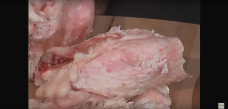 Animal fats