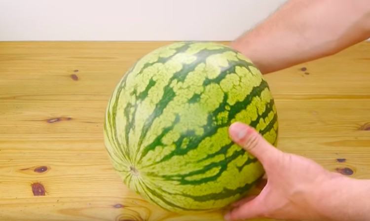 watermelon weight