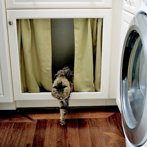 Litter Box Edited