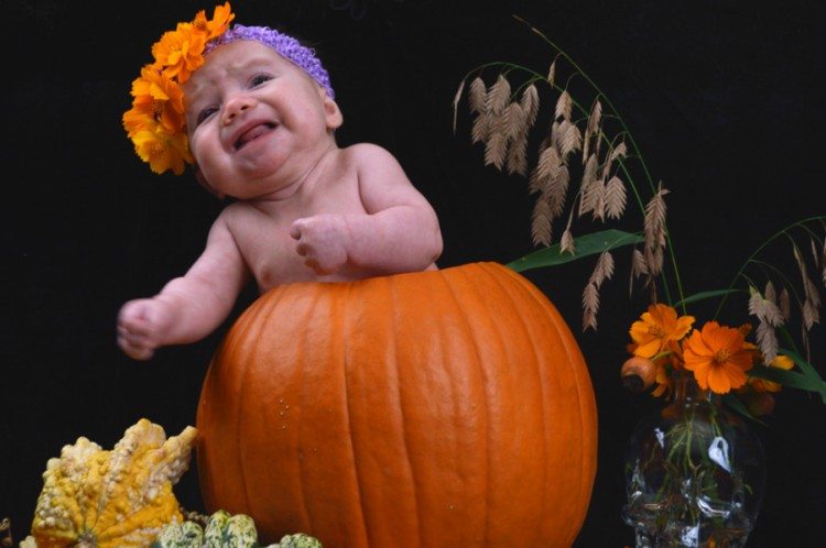 newborn pumpkin