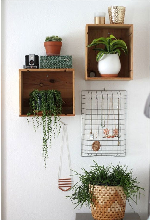 Plant Holder