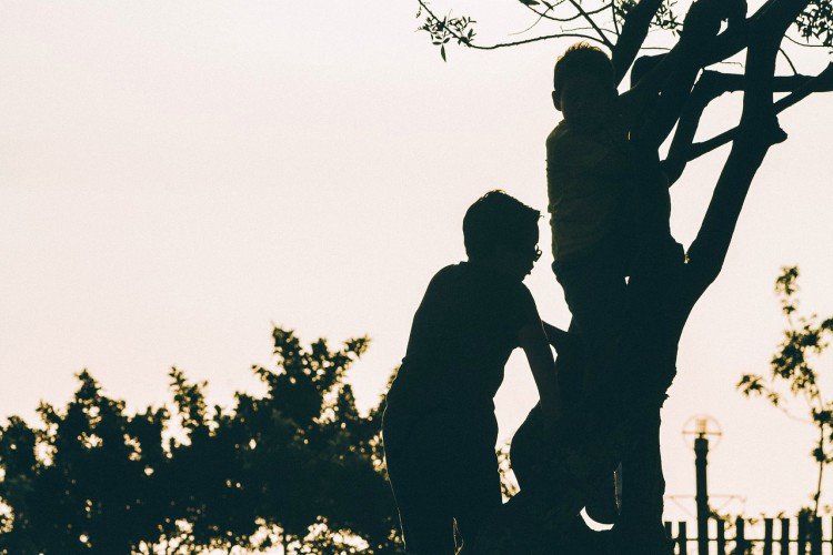 Image of boys climbing tree.