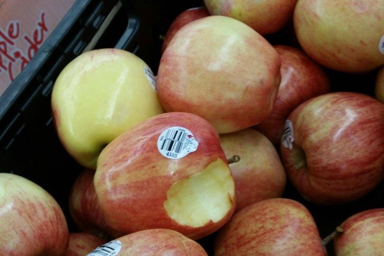 madness pic apples