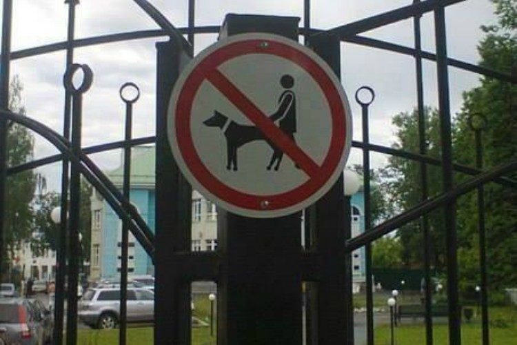 fail dog park