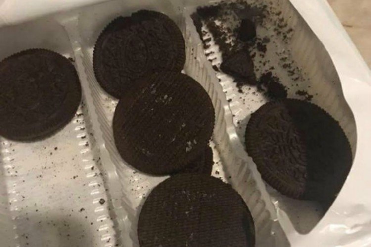 madness pic oreo