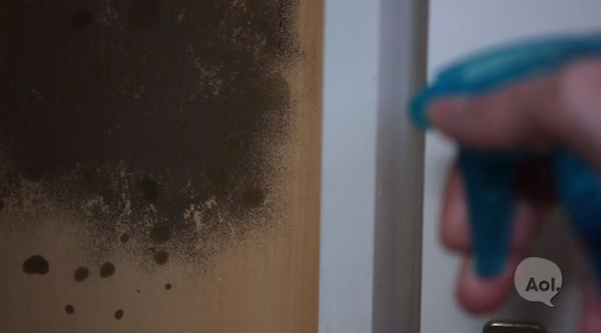 mold