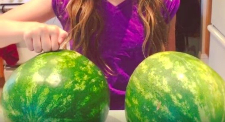 watermelon knocking