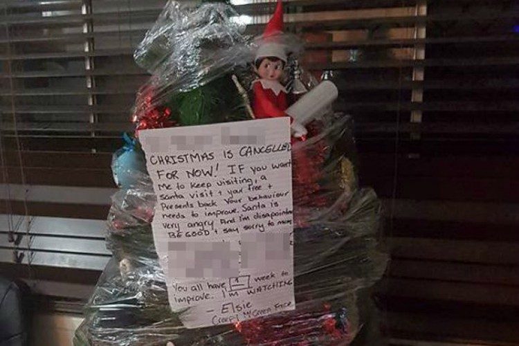 Image of Elf in wrapped Christmas tree.