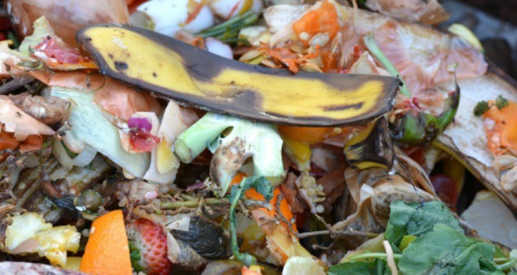 compost banana