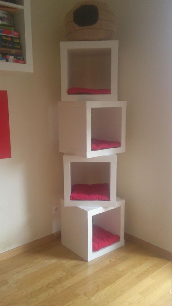 Cat Cubes