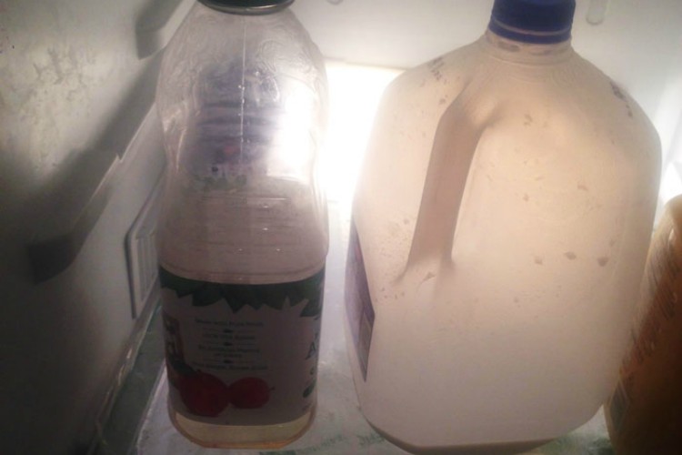 madness drinks