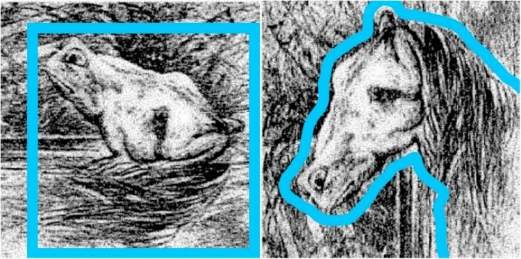 Image of hidden animals in drawing.